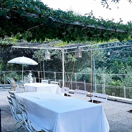 Apartament Monica *