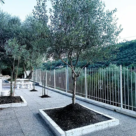 Monica Diano San Pietro